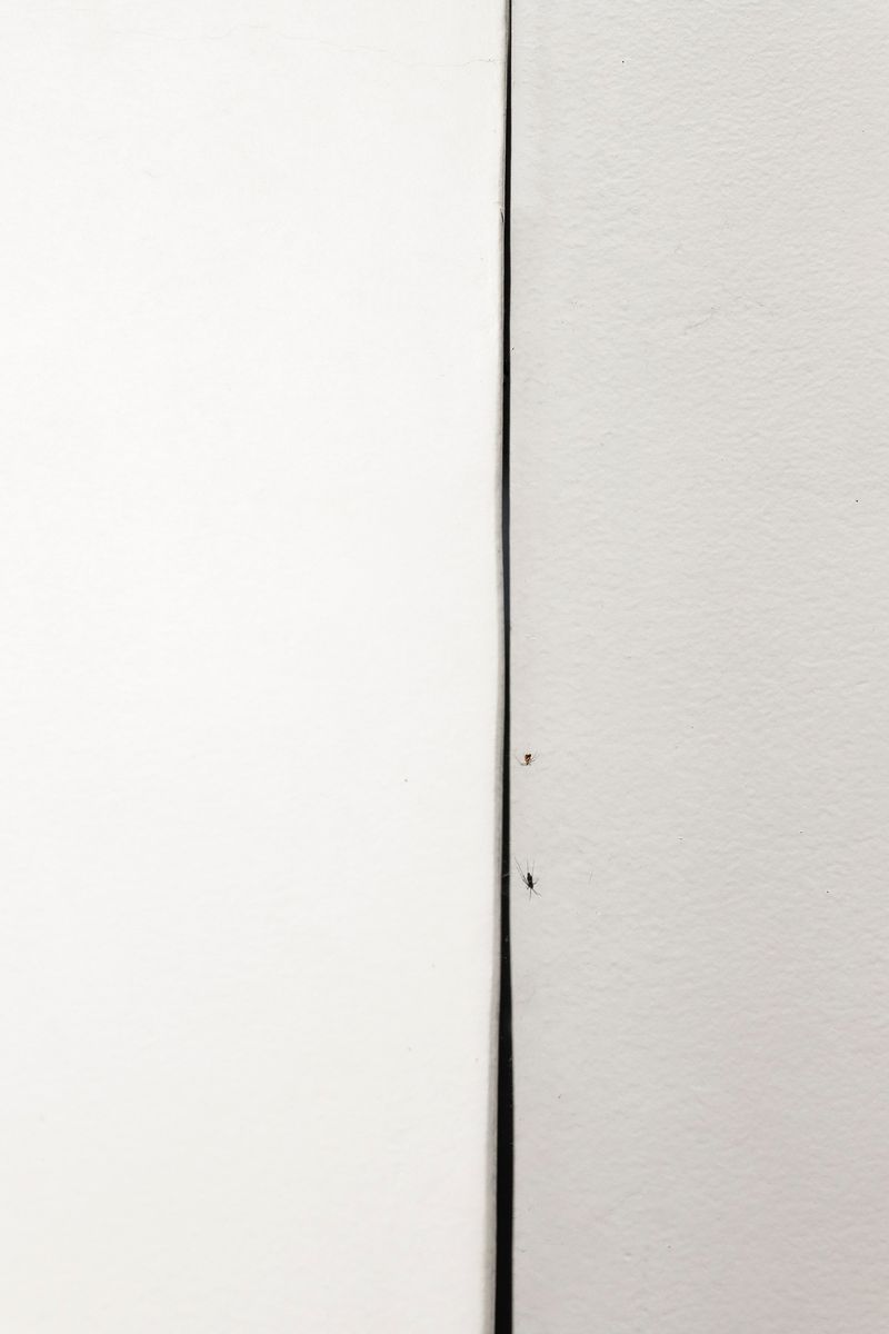 © Tianqi Liao - Image from the Aeons from the Scorching Sun photography project