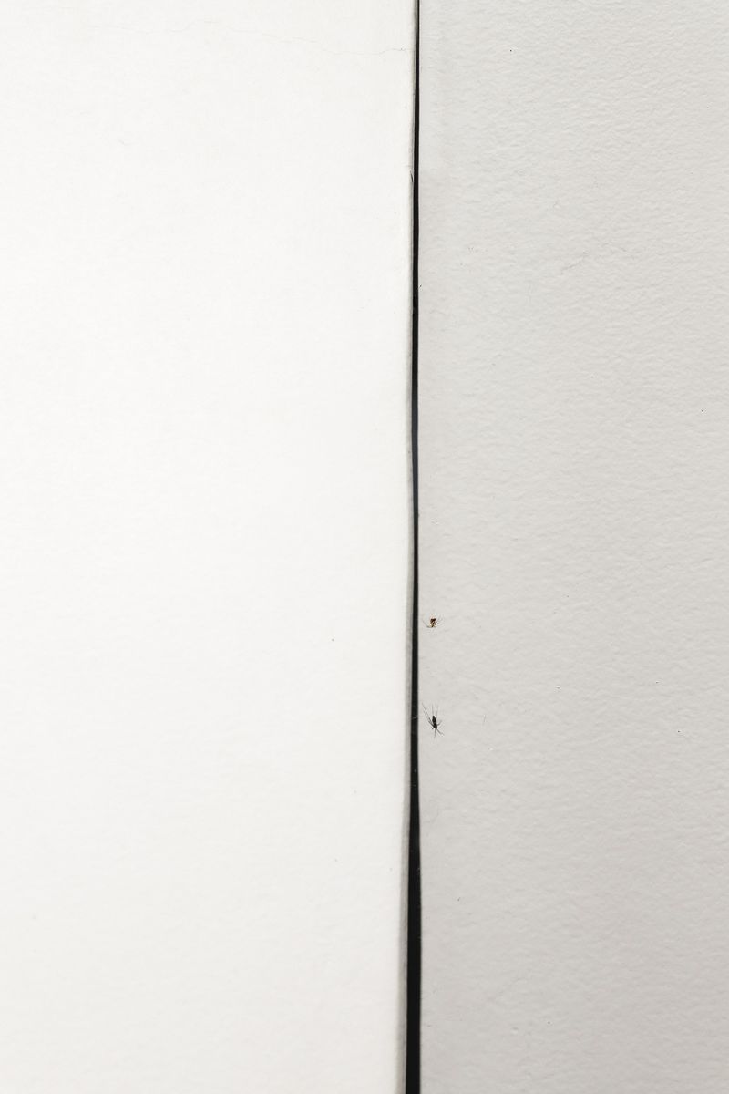 © Tianqi Liao - Image from the Aeons from the Scorching Sun photography project