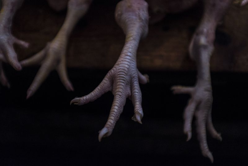 © Gabriela Bulisova - Image from the RETURNS - Chapter one photography project