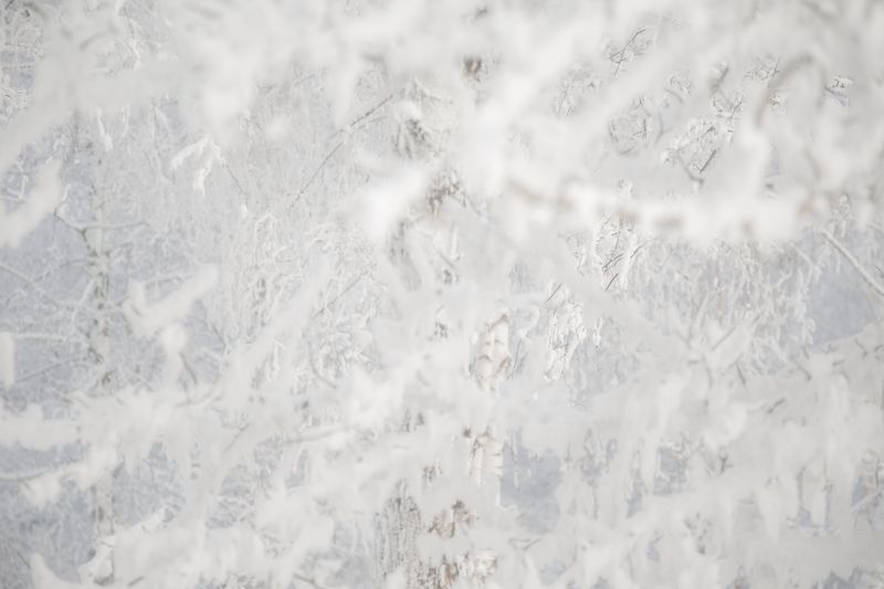 © Gabriela Bulisova - Image from the The Second Fire photography project