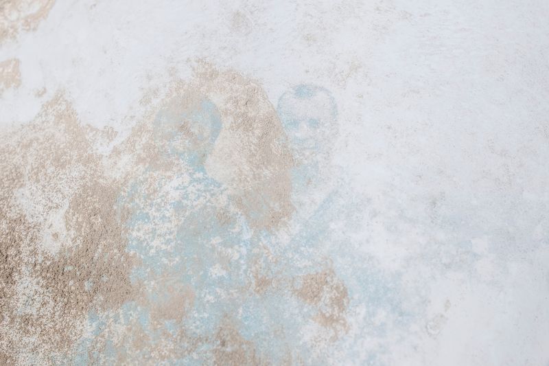 © Gabriela Bulisova - Image from the The Second Fire photography project