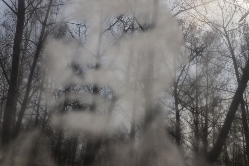 © Gabriela Bulisova - Image from the The Second Fire photography project