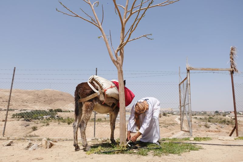 © Luisa Pisetta - Image from the I lost my train of thought photography project