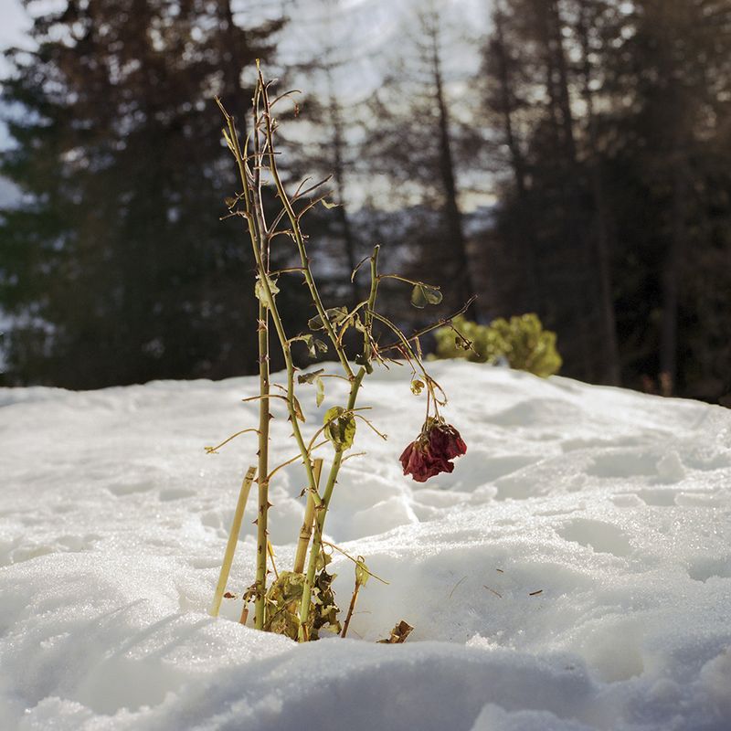 © Angela Crosti - Image from the Neither Here Nor There photography project