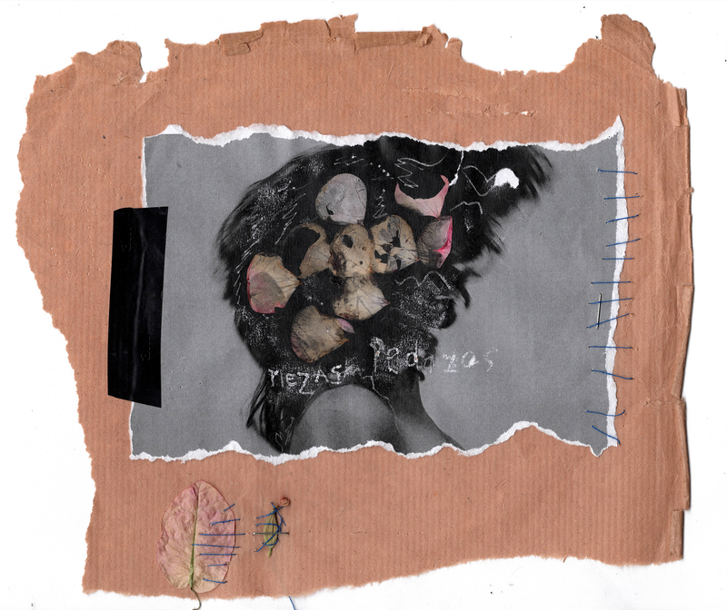 © Cristina - Translation: "parts, pieces"