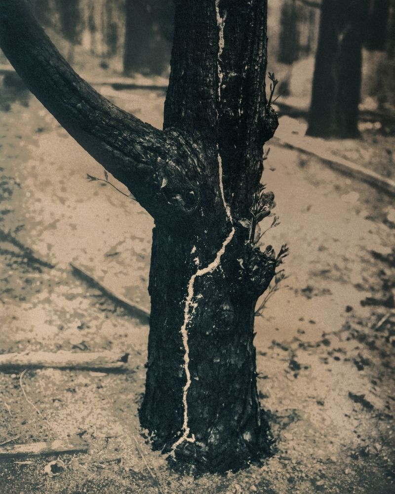 © Michael Naify - Image from the ORIGINS photography project