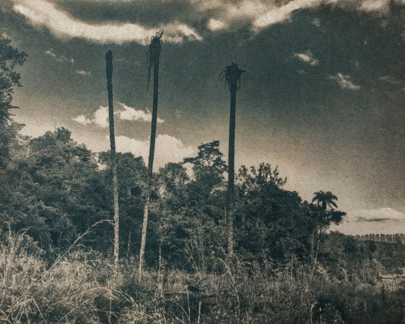 © Michael Naify - Image from the ORIGINS photography project