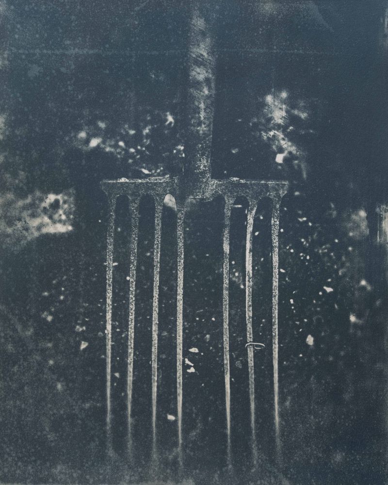© Michael Naify - Image from the Origins photography project