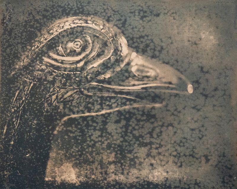 © Michael Naify - Image from the Origins photography project