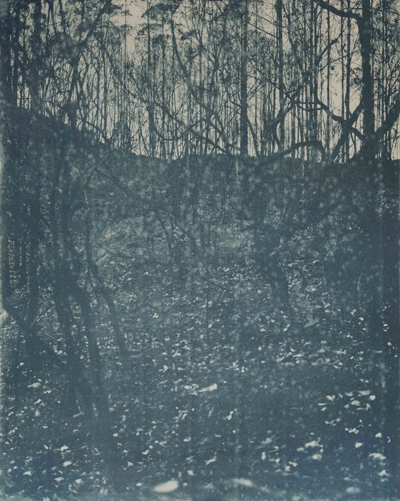 © Michael Naify - Image from the Origins photography project