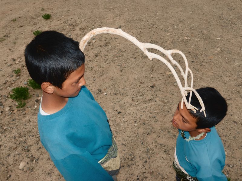 © YANG CHEN - Image from the "The Wilderness, Tajik and Plants" photography project
