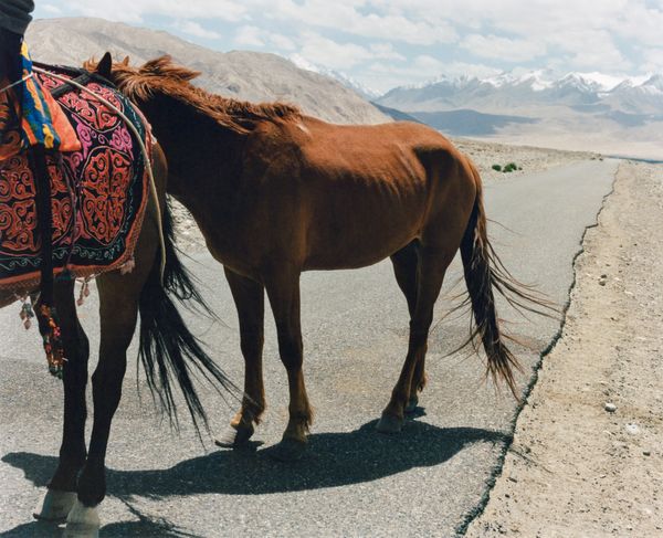 © YANG CHEN - Image from the "The Wilderness, Tajik and Plants" photography project