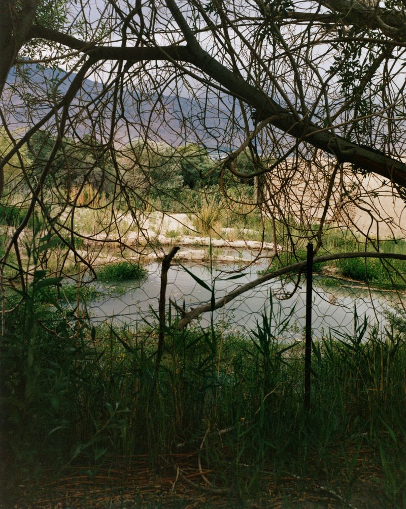 © YANG CHEN - Image from the "The Wilderness, Tajik and Plants" photography project
