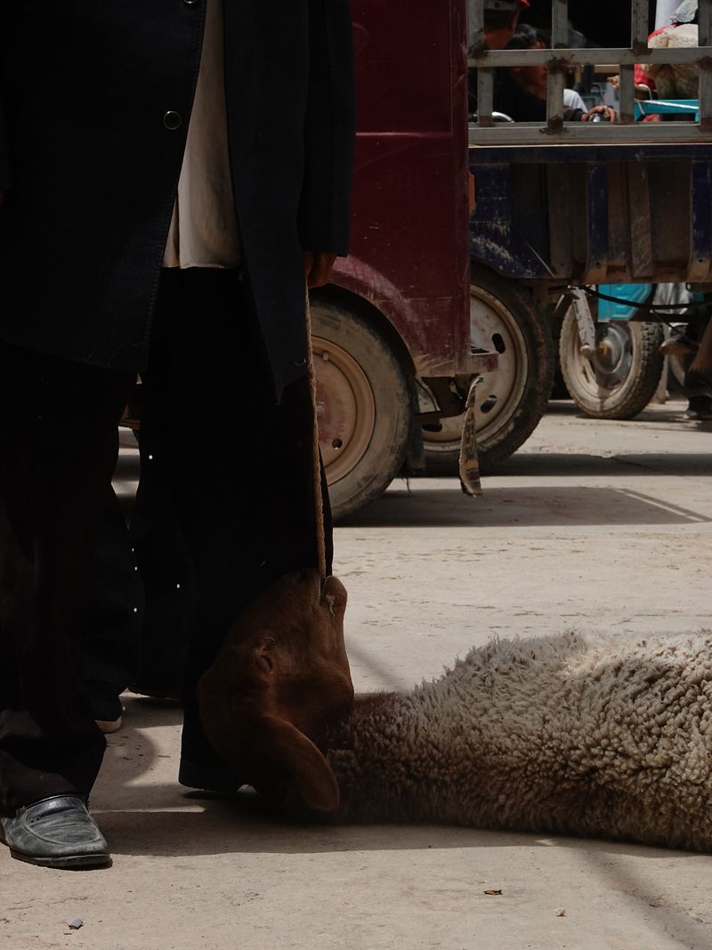 © YANG CHEN - Image from the Nomadic Tribes of the Pamir Plateau photography project
