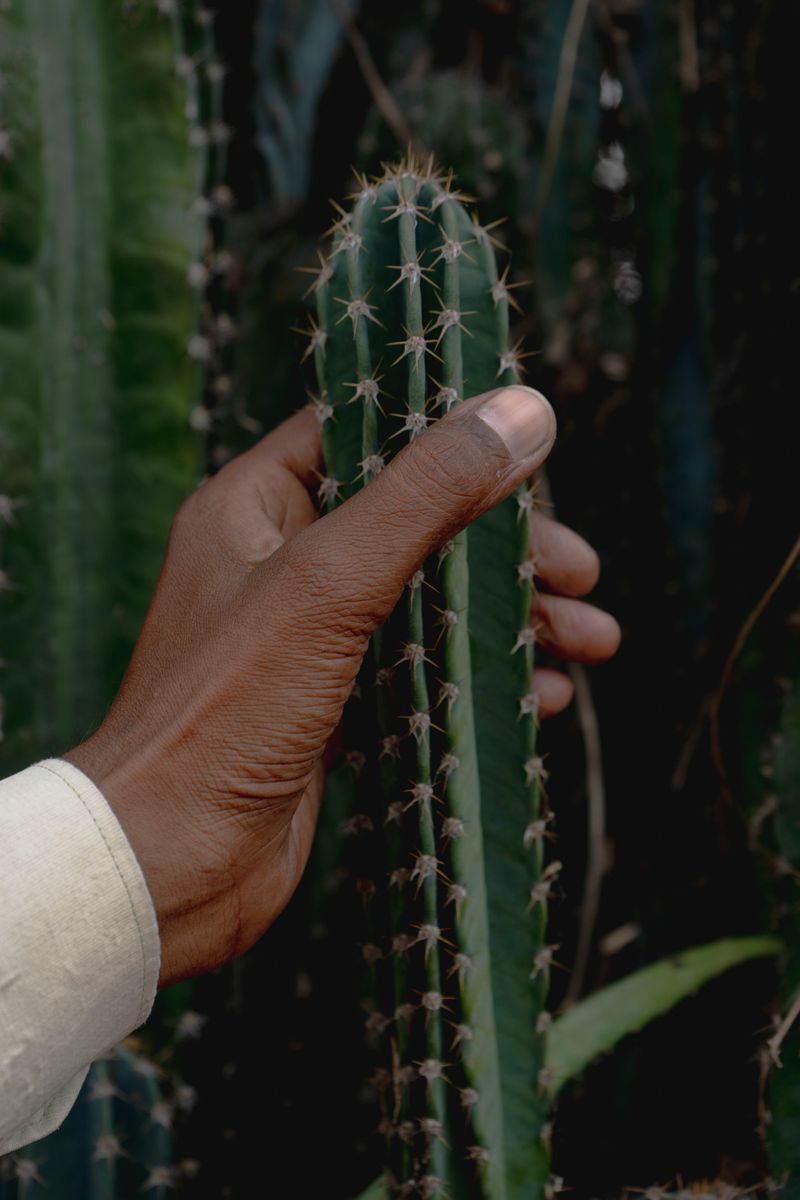 © Akanksha Pandey - Image from the In My Life, Why Do I Smile At People Who I’d Much Rather Kick In The Eye? photography project