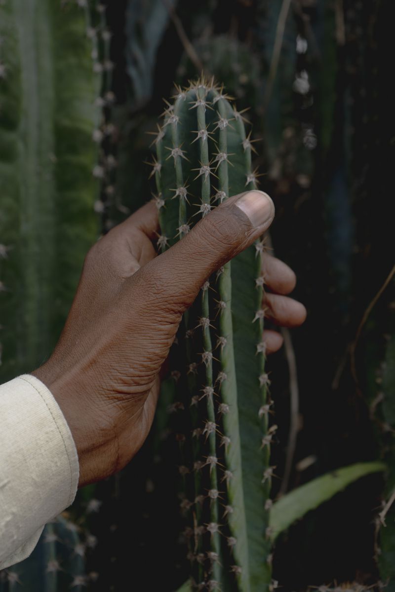 © Akanksha Pandey - Image from the In My Life, Why Do I Smile At People Who I’d Much Rather Kick In The Eye? photography project