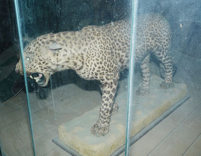 © Akanksha Pandey - Image from the Udyan/Oasis photography project