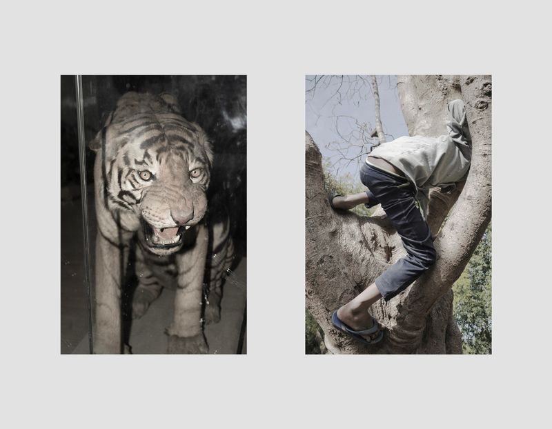 © Akanksha Pandey - Image from the Udyan/Oasis photography project