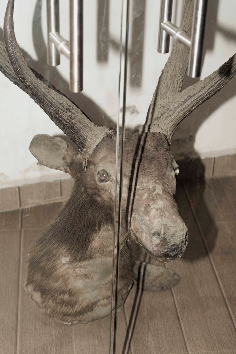 © Akanksha Pandey - Image from the Udyan/Oasis photography project