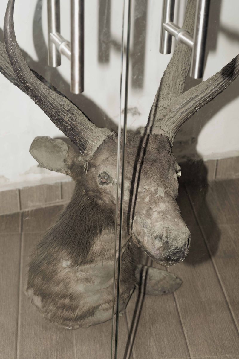 © Akanksha Pandey - Image from the Udyan/Oasis photography project