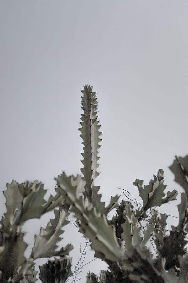 © Akanksha Pandey - Image from the Worldview photography project