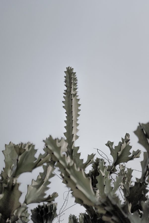 © Akanksha Pandey - Image from the Worldview photography project