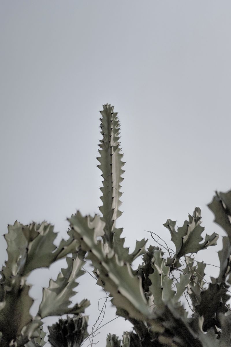 © Akanksha Pandey - Image from the Worldview photography project