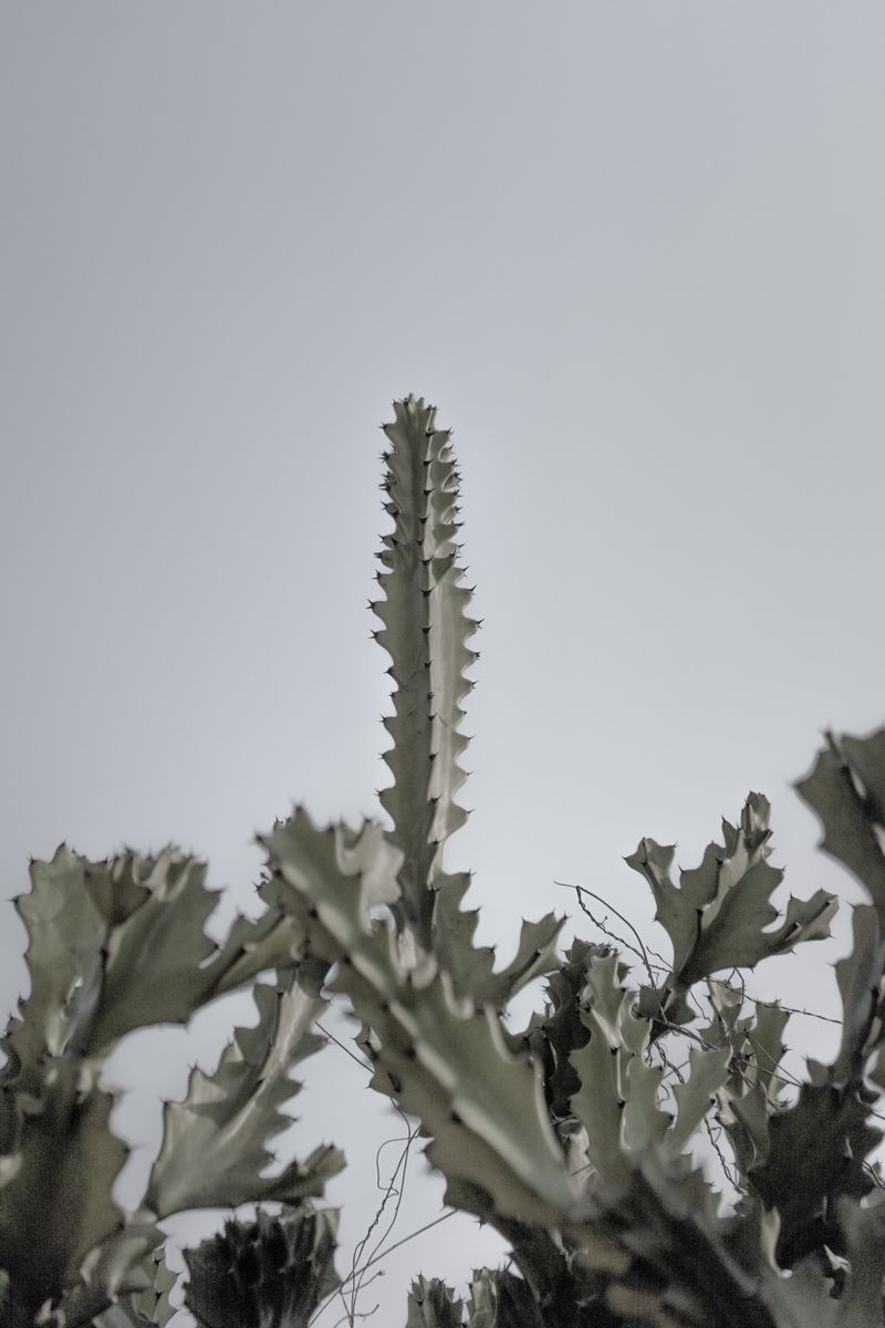 © Akanksha Pandey - Image from the Worldview photography project