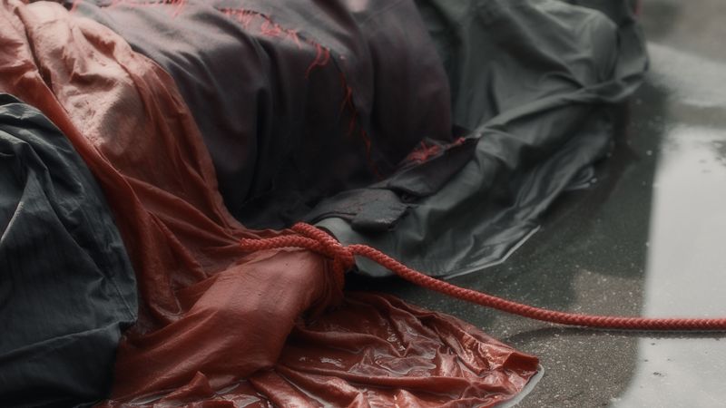 © Miloushka Bokma - Image from the Sense of the Damaged photo and video photography project