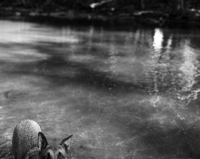 © Mateo Ruiz Gonzalez - Bobby in the river, 2024