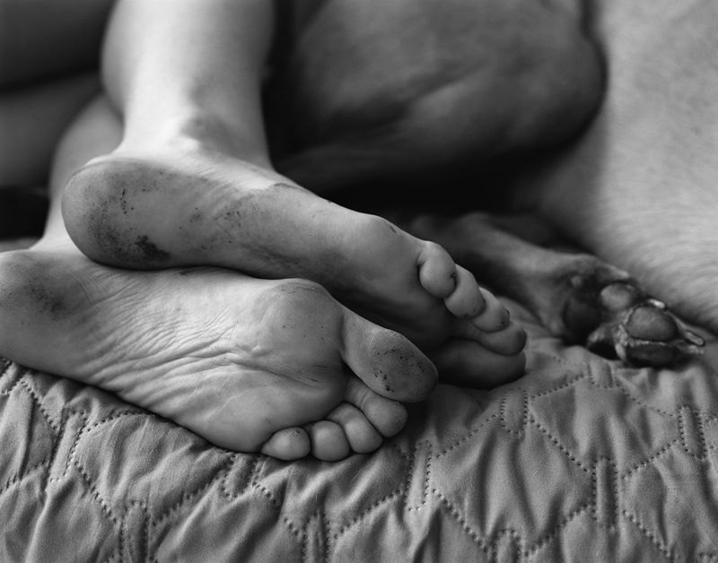 © Mateo Ruiz Gonzalez - After a walk, 2024