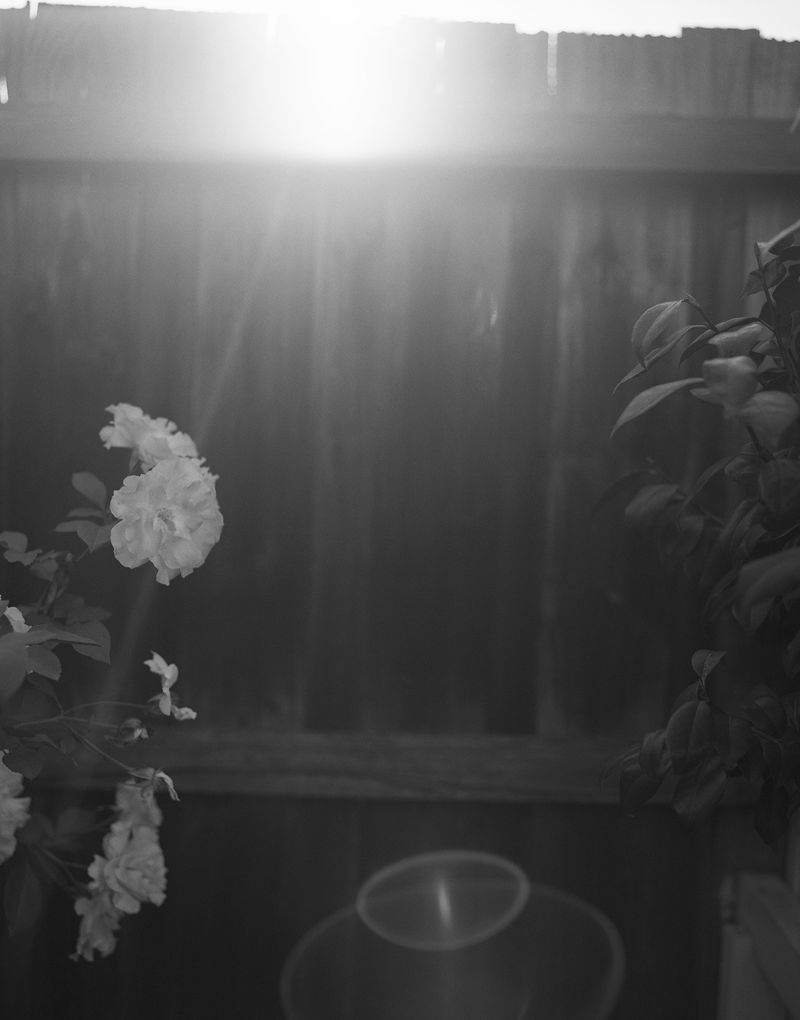 © Mateo Ruiz Gonzalez - Backyard, 2022