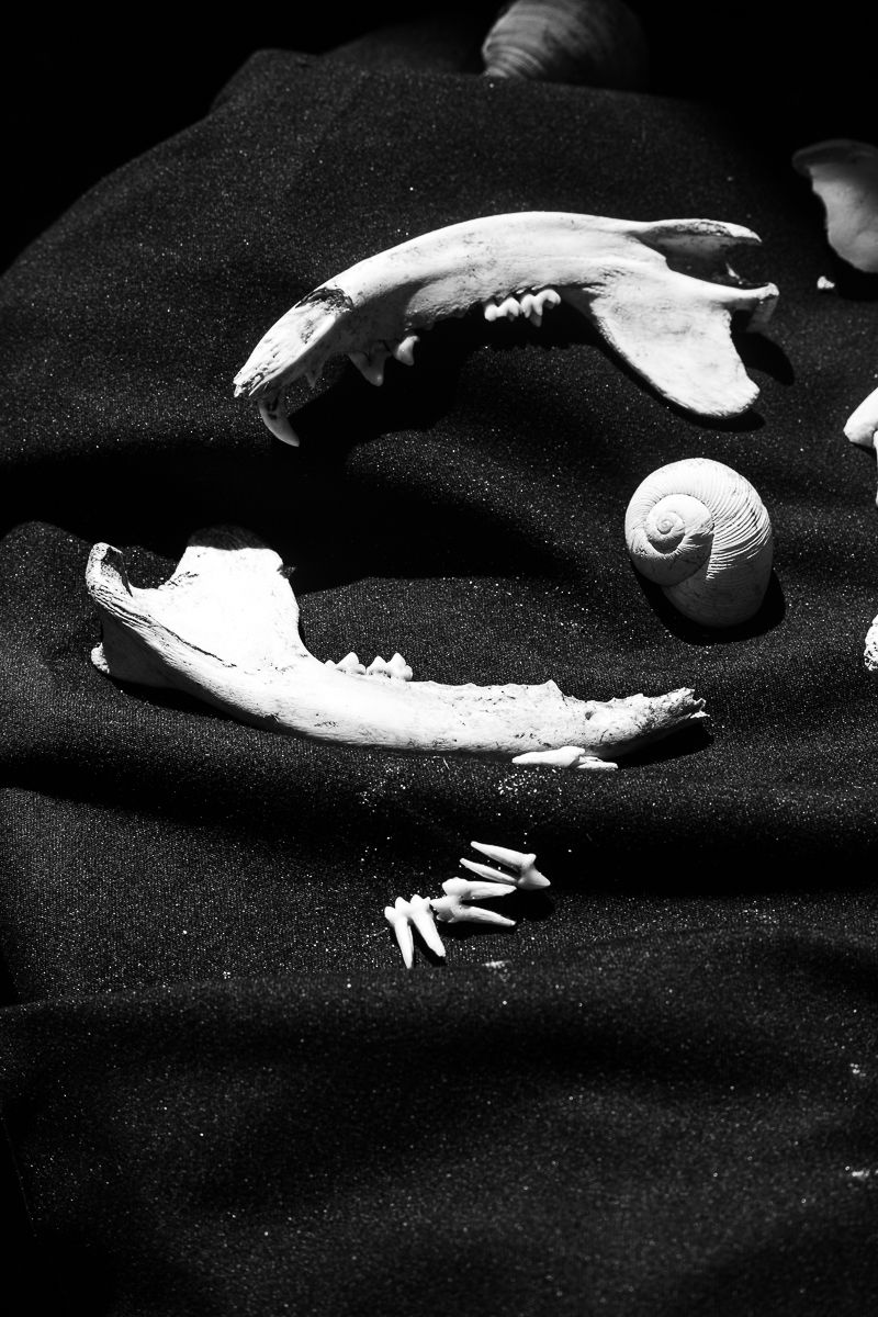© melissa Guerrero - Image from the "Limerence Reverie" Variations on Grief photography project