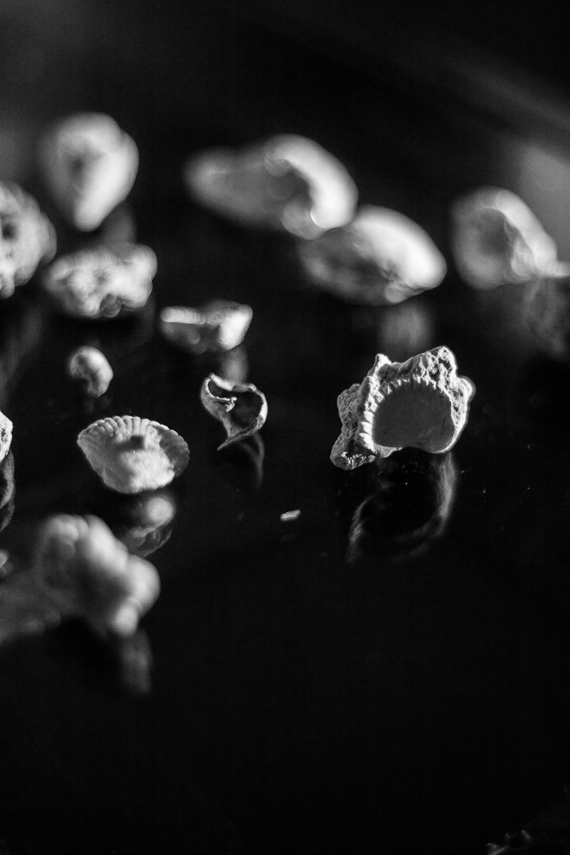 © melissa Guerrero - Image from the "Limerence Reverie" photography project