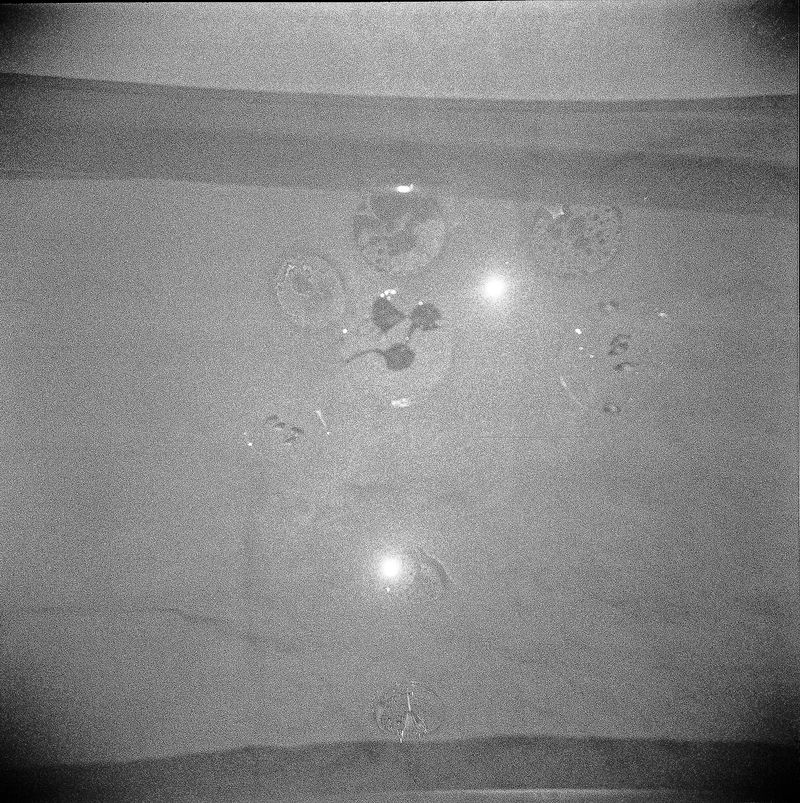 © melissa Guerrero - Image from the Everyone In Florida Has A Pool photography project