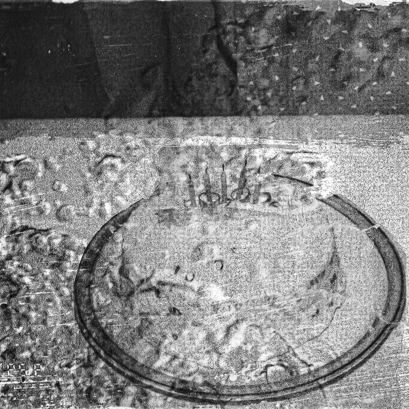 © melissa Guerrero - Image from the Everyone In Florida Has A Pool photography project