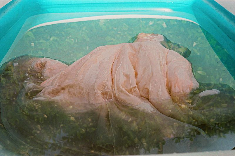 © melissa Guerrero - Image from the Everyone In Florida Has A Pool photography project