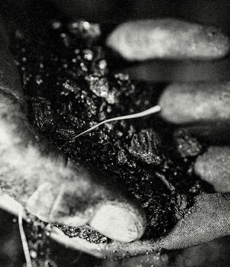 © Jackson Whitefield - Image from the KENUYSER photography project