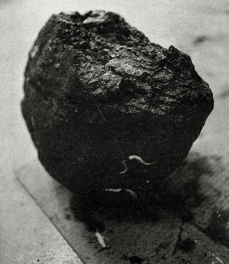 © Jackson Whitefield - Image from the KENUYSER photography project