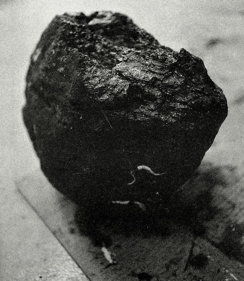 © Jackson Whitefield - Image from the KENUYSER photography project