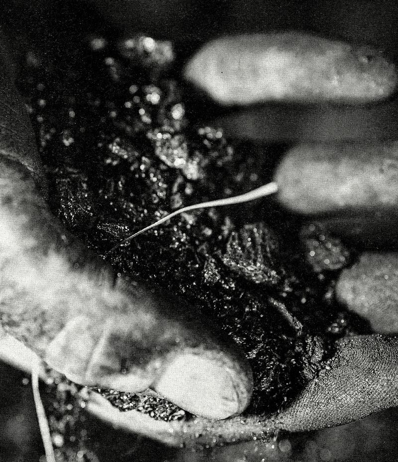 © Jackson Whitefield - Image from the KENUYSER photography project