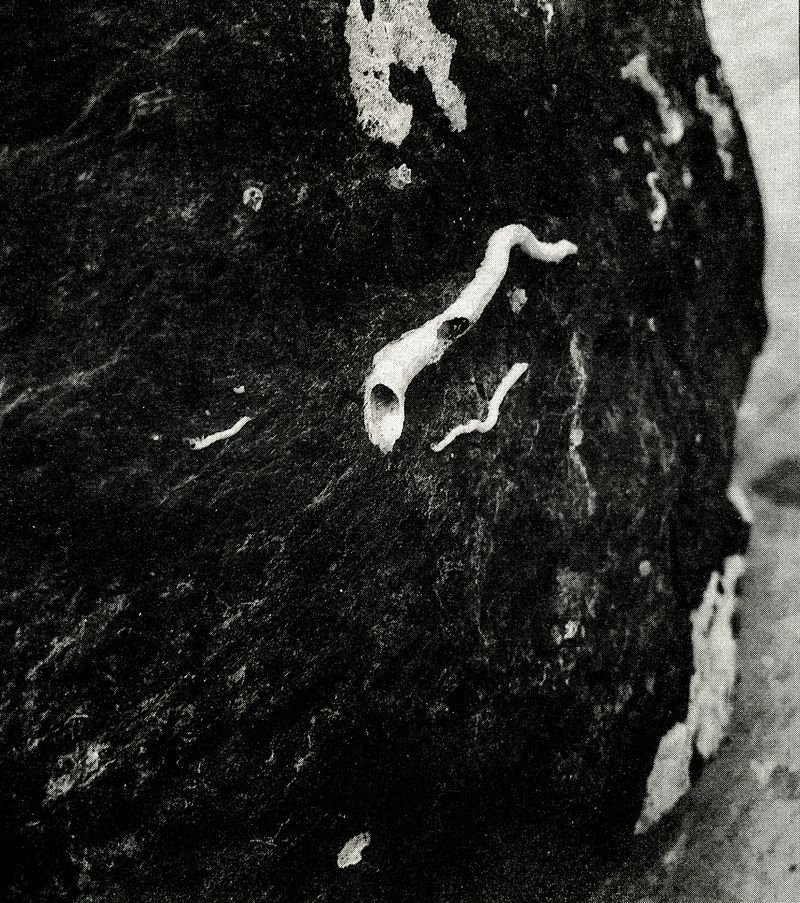 © Jackson Whitefield - Image from the KENUYSER photography project