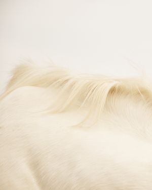 La isla son mujeres dormidas