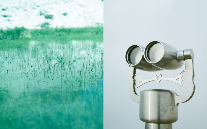 © Giorgia Dal Molin - sn: typical small flowers of alpine lakes_dx: binoculars from the summit