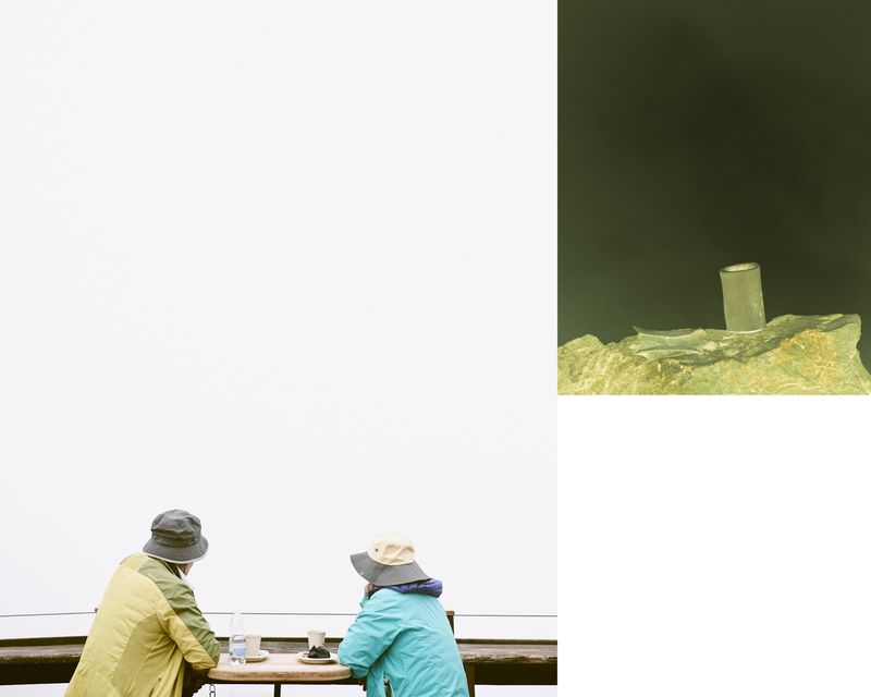 © Giorgia Dal Molin - sn: tourists in a cloudy afternoon_dx: negative and yellow colored image of animal rests
