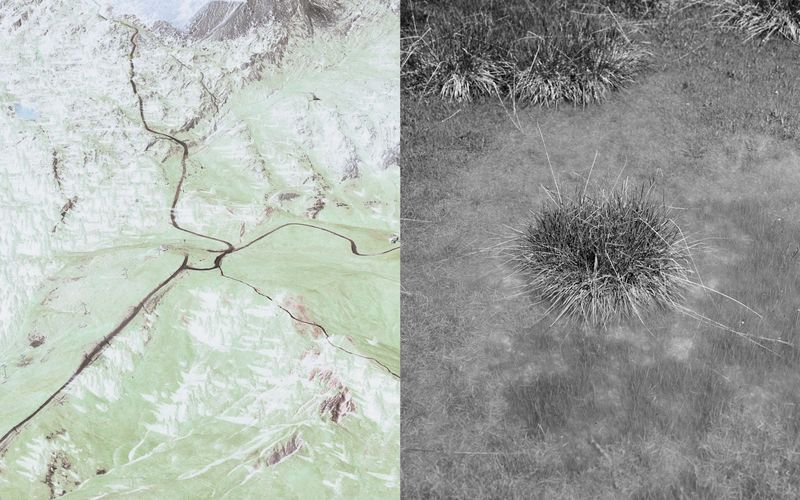 © Giorgia Dal Molin - sn: typical bush of alpine lakes_dx: paths seen from the summit