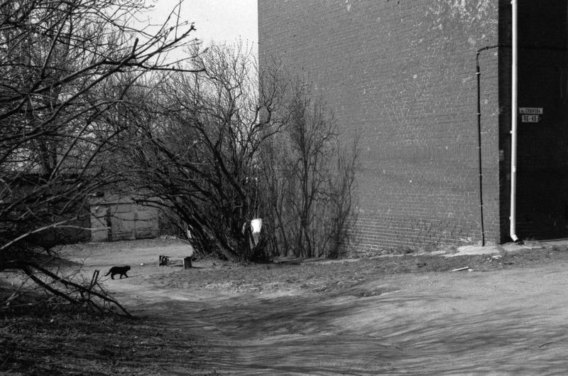 © Ira Vinokurova - Image from the "Postcard from the City K." photography project