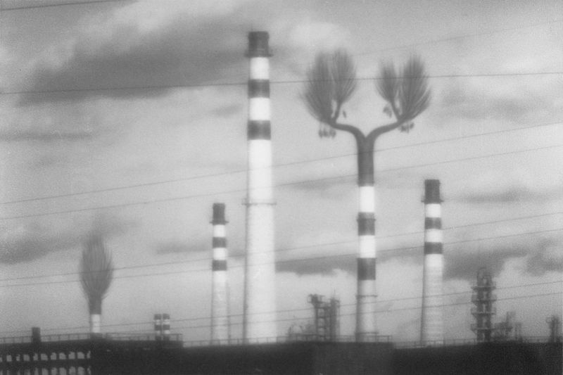 © Natasha Podunova - Image from the Came from the sea photography project