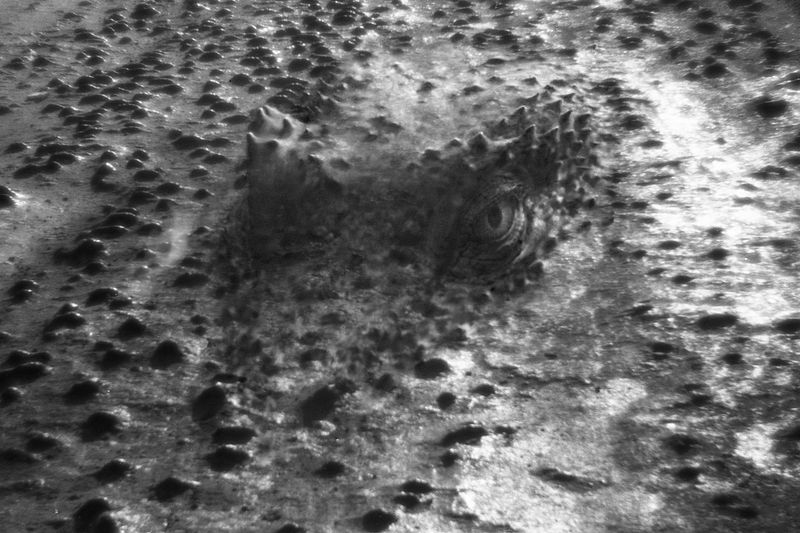 © Natasha Podunova - Image from the Came from the sea photography project