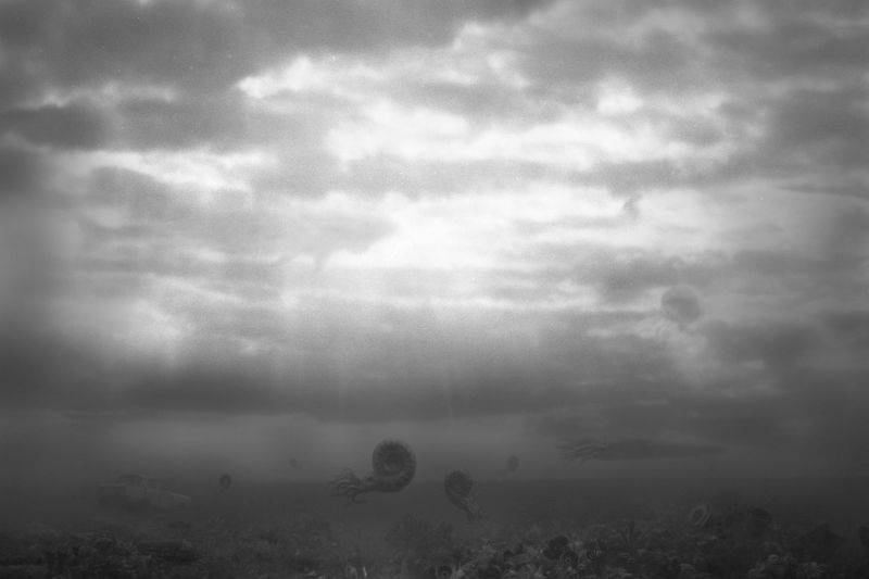 © Natasha Podunova - Image from the Came from the sea photography project